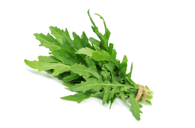 Rucola